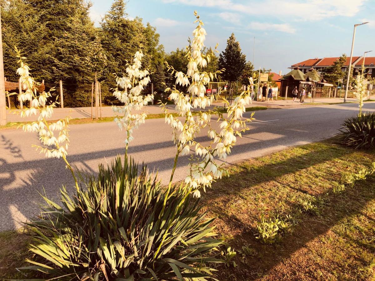 Club Thermal Village Cegléd Esterno foto